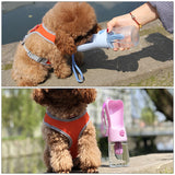 Gourde pour chien transparent avec filtre à eau