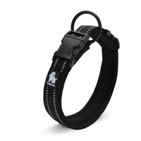 Collier pour chien noir, sur un fond blanc