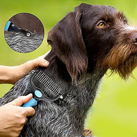 Un chien en train de se faire démêlés les poils avec un peigne bleu, avec un arrière plan flouté