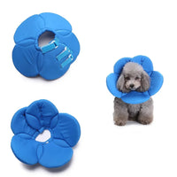 Petit chien portant une collerette de protection moelleuse en forme de fleur bleue, assis calmement sur un fond blanc.