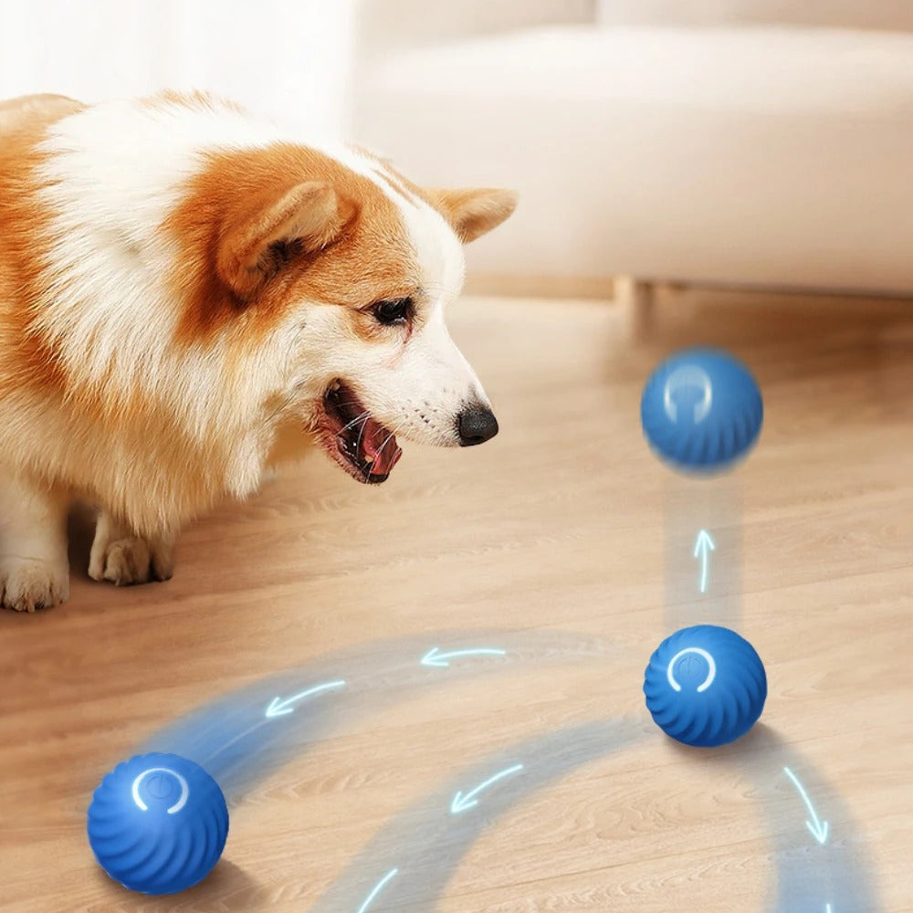 Balle interactive pour chien intelligente