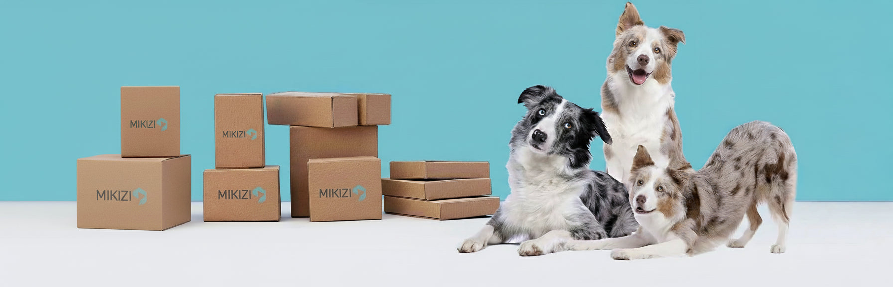 bannière mikizi, 3 chiens avec des cartons mikizi sur les coté sur fond bleu
