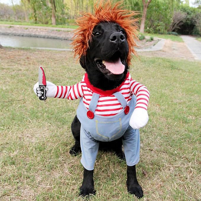 Chucky Dog Costume – Mikizi
