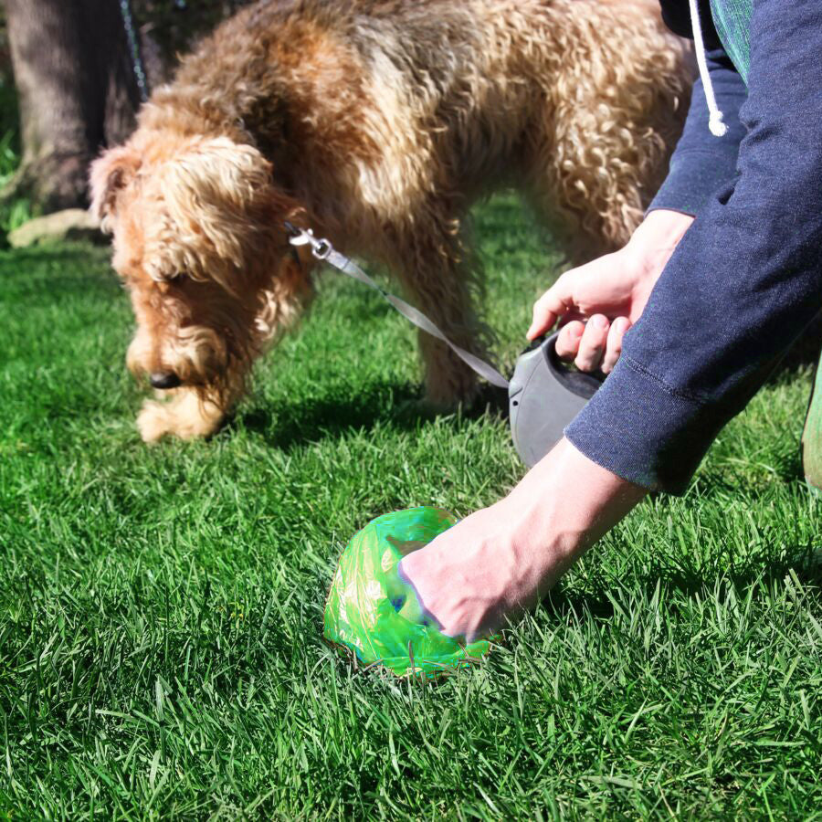 Sac À Crottes Écologique Pour Chien – Mikizi