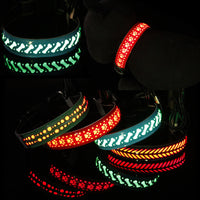 Collier lumineux élégant pour chien