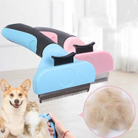 Brosse pour chien poil court bleu et rose
