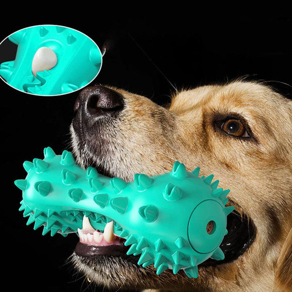 Jouet brosse à dents chien