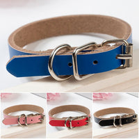 Plusieurs colliers en cuir sont sur l'image. On voit au centre le collier en cuir bleu. En dessous on peut voir un collier rose, rouge et noir. Tous les colliers sont posés sur un table en bois.