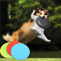 Un chien qui attrape son frisbee dans sa guelle en sautant sur une pelouse