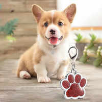 Un petit chien portant une médaille personnalisée à motif patte de chien.