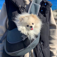 Petit chien porté par son maître dans le sac bandoulière en maille pour chien de couleur gris