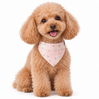Collier pour chien en bandana