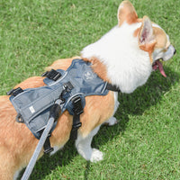Harnais anti-traction ajustable avec 3 points pour chien