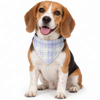 Collier pour chien en bandana