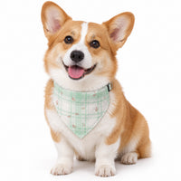 Collier pour chien en bandana