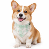 Collier pour chien en bandana