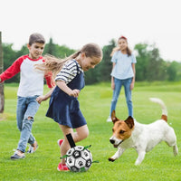 Ballon de football pour chien avec motifs mignons