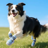 Chaussures d’été respirantes et antidérapantes pour chien