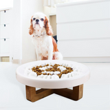 Gamelle pour chien anti-glouton en céramique