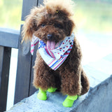 Un chien avec une écharpe portant les bottes en couleur vertes 