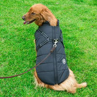Manteau harnais imperméable pour chien en coton