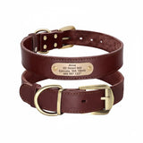 Collier pour chien en cuir personnalisable