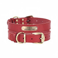 Collier pour chien en cuir personnalisable