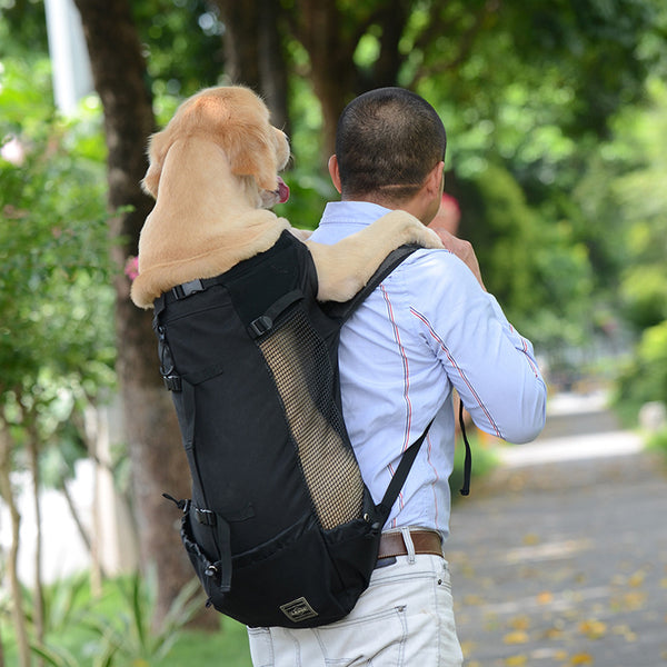 Un homme portant un grand chien dans un sac à dos noir, avec un arrière plan flouté