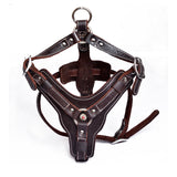 Harnais pour chien en cuir véritable