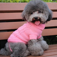 Un peut chien assis sur un banc, portant un pull rose à col roulé