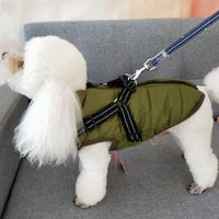 Manteau imperméable coupe-vent pour chien avec harnais intégré