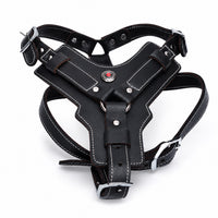 Harnais pour chien en cuir véritable