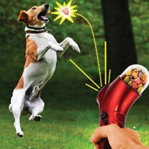 Un chien qui saute en essayant de rattraper sa friandise projetée vers lui par un pistolet distributeur de friandise