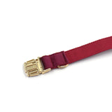 Collier pour chien personnalisé en velours bordeaux avec laisse assortie