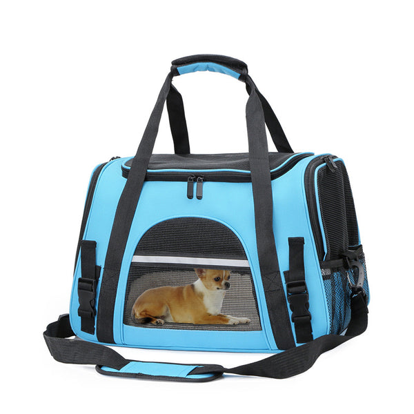 Un petite chien Chihuahua qui s'allonge au repos dans son sac porte chien de couleur bleu sur un fond blanc