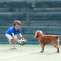 Ballon de football pour chien avec motifs mignons