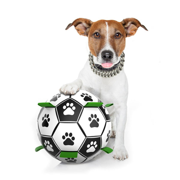 Un chien avec un gros collier se pose avec son ballon imprimé de pattes de chien le tout en fond blanc.