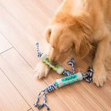 Un grand chien jouant avec ses jouets en cordes de différentes couleurs.