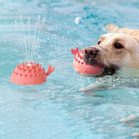 Jouet aquatique multifonction pour chien