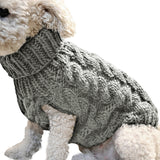 Un petit chien portant un pull gris sur un fond blanc