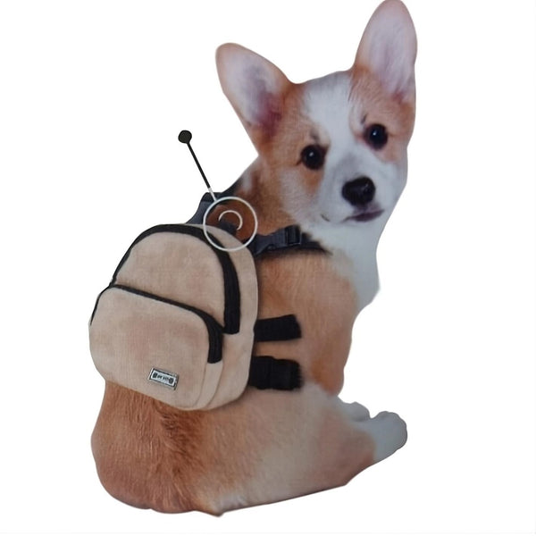 Petit chien assis portant son cartable pour petit chien mignon
