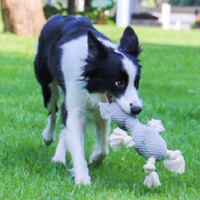 Peluche pour chien ultra-résistante