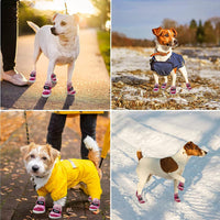 Chaussures d'hiver antidérapantes pour chien