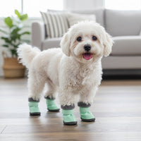 Petit chien blanc portant des bottes d'hiver imperméables vert menthe avec semelles antidérapantes, debout sur un sol en bois dans un intérieur chaleureux.