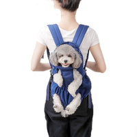 Un petit chien de couleur gris et blanc dans un sac à dos pour chien de couleur bleu sur le dos d'une femme sur un fond blanc