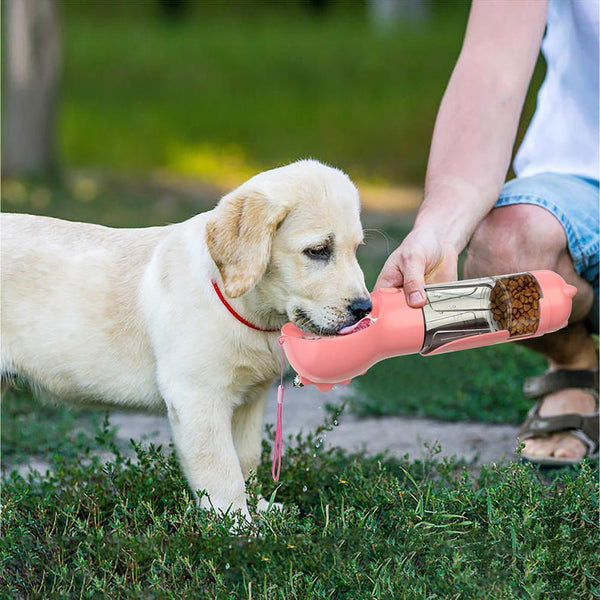 Un petit chien qui boit dans une gourde tenue par son propriétaire, avec un fond de verdure
