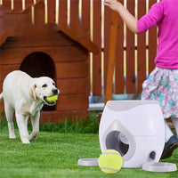 Un chien blanc en train de rapporter sa balle dans son lanceur de balle sur une pelouse avec une fille près de lui