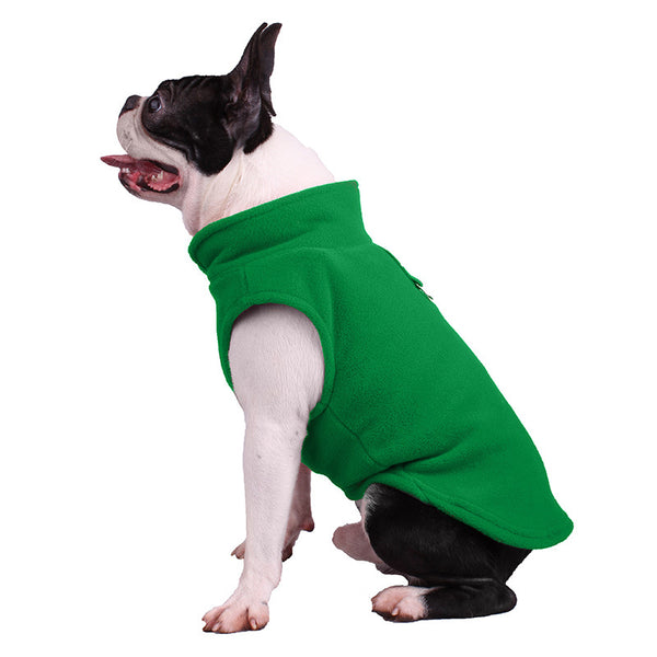 Un chien portant un sweat vert le tout en fond blanc