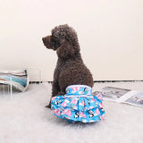 Couche pour chien femelle