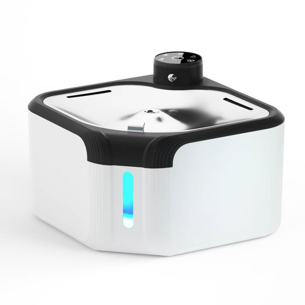 Fontaine à eau pour chien à filtration circulante